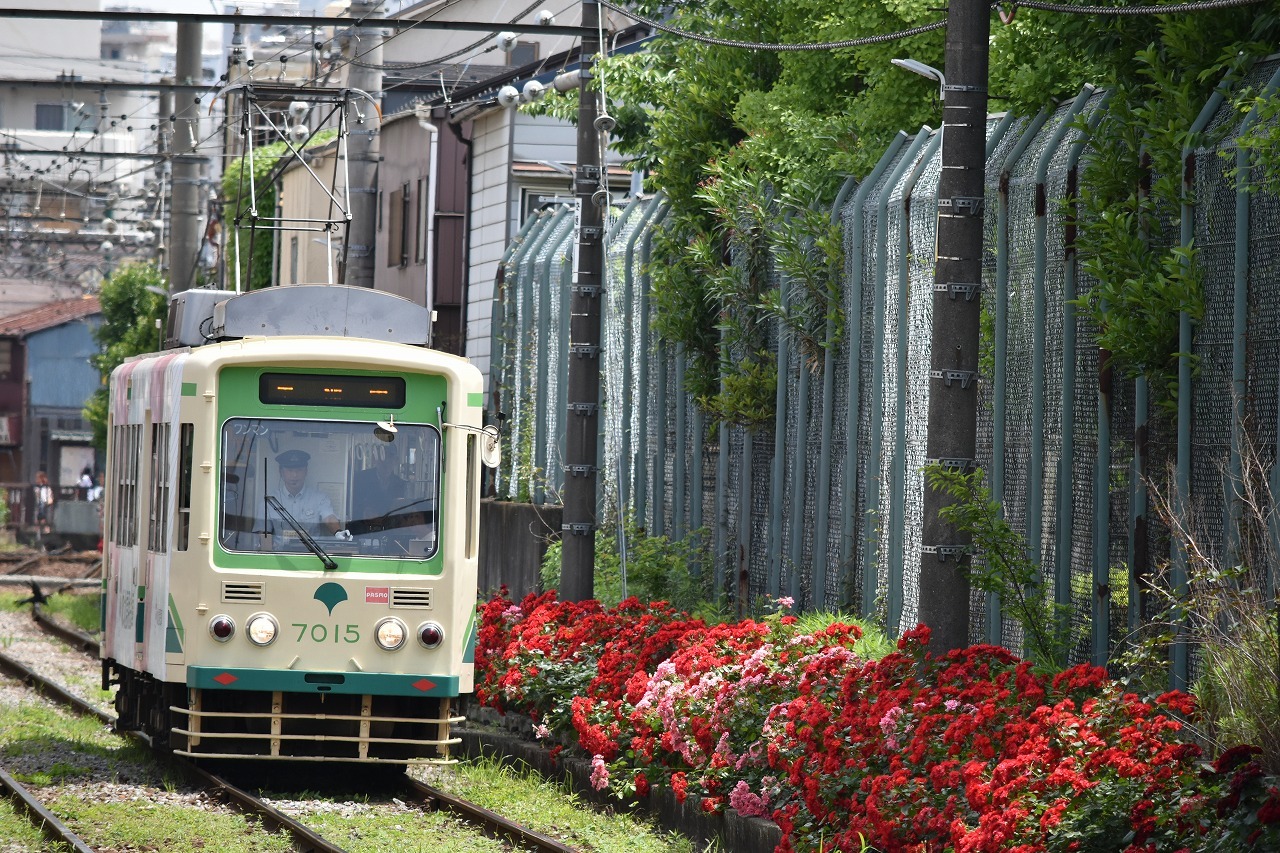 ６✕６で撮影した都電の面影 6X6で撮影した都電の面影 | 鉄道模型店 Models IMON